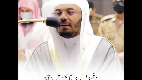 { وَآتَاكُم مِّن كُلِّ مَا سَأَلْتُمُوهُ ۚ } القارئ : ياسر الدوسري | من سورة إبراهيم
