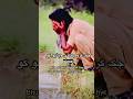 Dunya Ki Haqeqat ☺️❤️#shorts #trending #trendingshorts #foryou #reels #love #explore #youtubeshorts