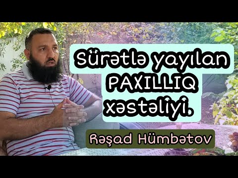 ⛔ SÜRƏTLƏ YAYILAN PAXILLIQ XƏSTƏLİYİ.. 🌿Rəşad Hümbətov