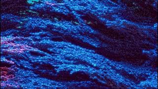 Vandelux - Right Now