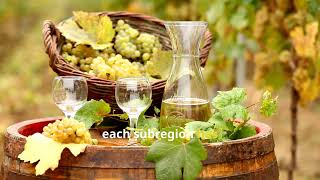 Sonoma wine tour with @TheMixologist123 / Discover California's wine country magic. 