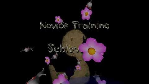 Pikmin 2 Challenge Mode Full Collection: Novice Training