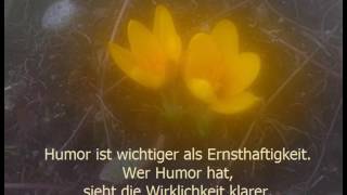 Humor Aphorismus Raymond Hummy Art  Impromptu Op 90 No 3 Schubert