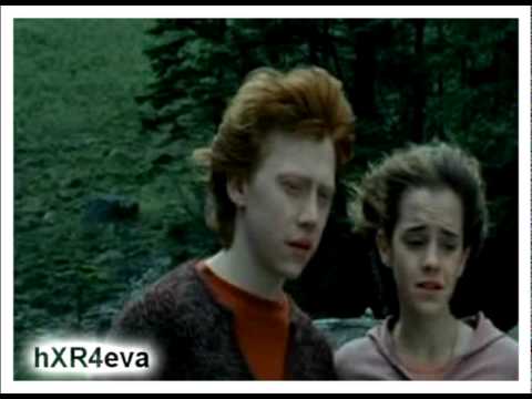 hermione, draco, ron, harry - rule the world