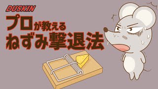 【ねずみ駆除】ダスキンのプロがねずみ撃退法をお教えします！