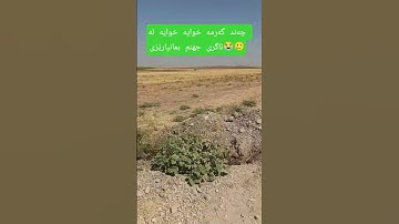 تلاوات الشيخ ياسر الدوسري سورة يونس