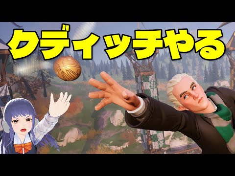 クディッチやる【ハリー・ポッター：クィディッチ・チャンピオンズ】