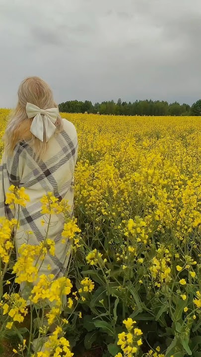 Этот мир чудесный и простой всего лишь миг😍 - YouTube