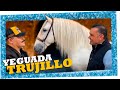 Chuy Lizárraga - El Vlog - Yeguada Trujillo - Música , Caballos , Toros y Gallos