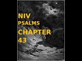 PSALMS(NIV), CHAPTER 43