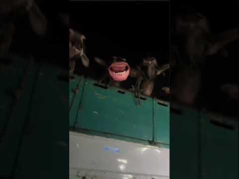 عايز ايه يابنى سيبنا فى حالنا