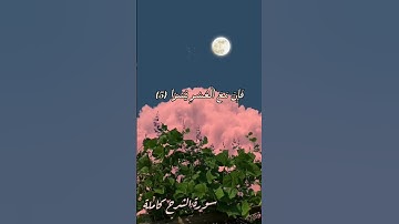 سورة الشرح كاملة _ آيات تشرح الصدر  و تريح القلب ✨🫀