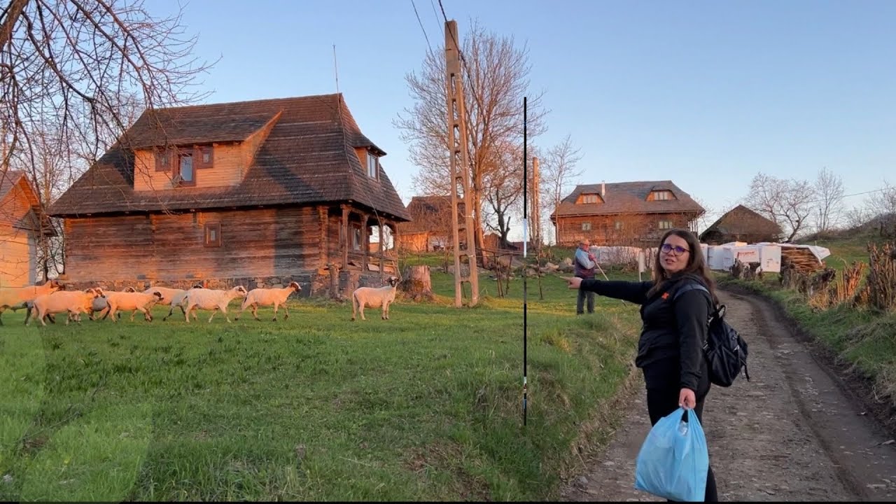 CĂUTAM de mancare prin satul BREB -MARAMUREȘ!!!! AM GASIT URDA , SLANINA SI PALINCA LA LOCALNICI!!!