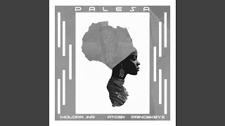 Palesa (feat. Fito911) [with PrinceKeyz]