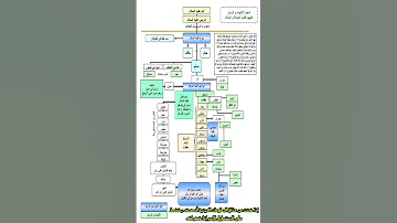 شجرة الانبياء والرسول عليهم أفضل الصلاة والسلام Shorts 