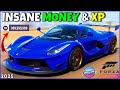 FORZA HORIZON 5 MONEY GLITCH! INSANE MONEY & XP METHOD 2025!