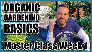Organic Gardening Basics   Week 1 of 4