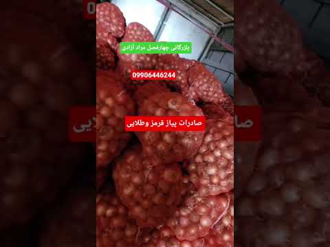 صادرات پیاز ایران به مقصد قطر  اذربایجان روسیه عراقي  قطر امارات