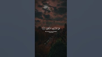 سعد الغامدي سورة يس Saad Al Ghamidi Surah Yasin