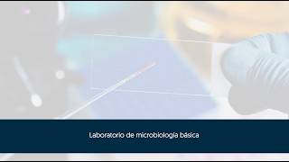 Laboratorio de Microbiología Básica