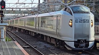 【特急成田エクスプレス24号】2024M E259系Ne017編成 Ne008編成 津田沼駅 通過シーン