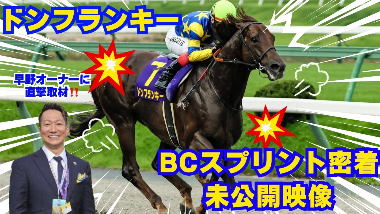 【未公開映像満載】ドンフランキーのBCスプリントに密着、オーナーに直撃取材しました