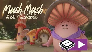 Mush-Mush Och Svampinjonerna  Fågeluppringare Boomerang Sverige