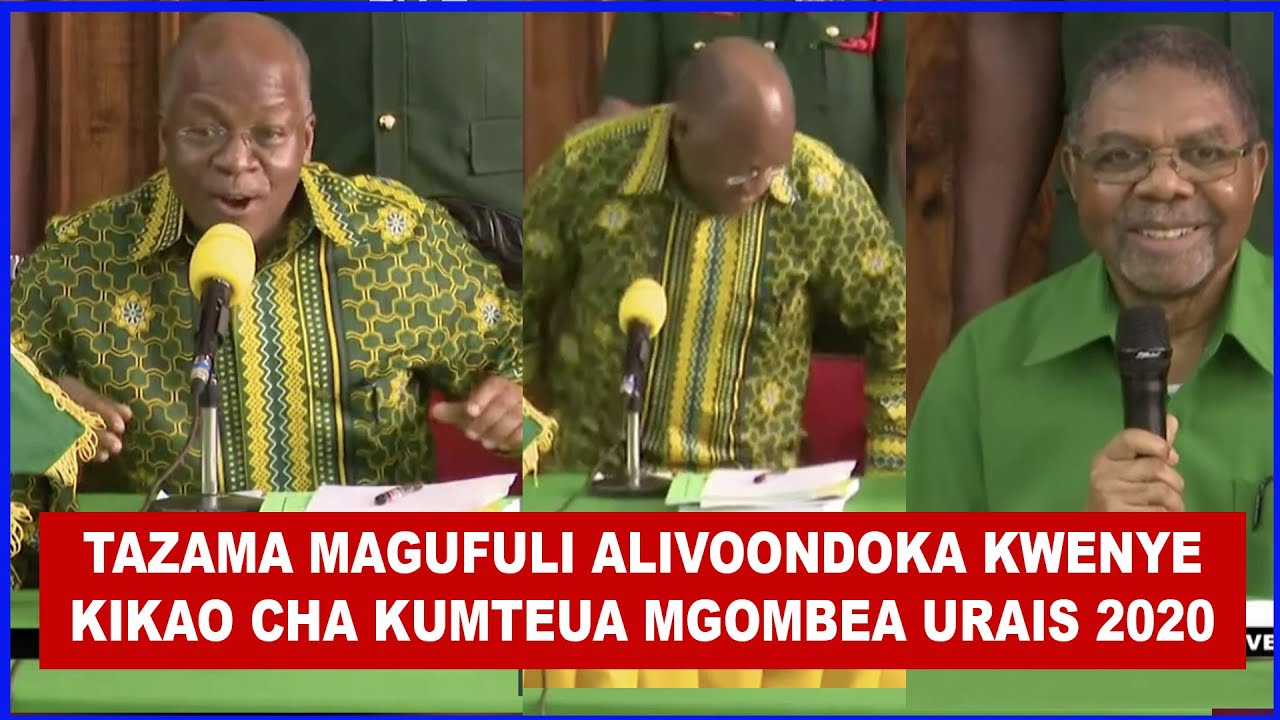 HIVI NDIVO ILIVOKUA MCHAKATO WA  KUMTEUA MAGUFULI 2020 KUWA MGOMBEA URAIS WA CCM