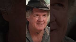 Crocodiles as pets #shorts