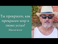 Как заработать в Авроре