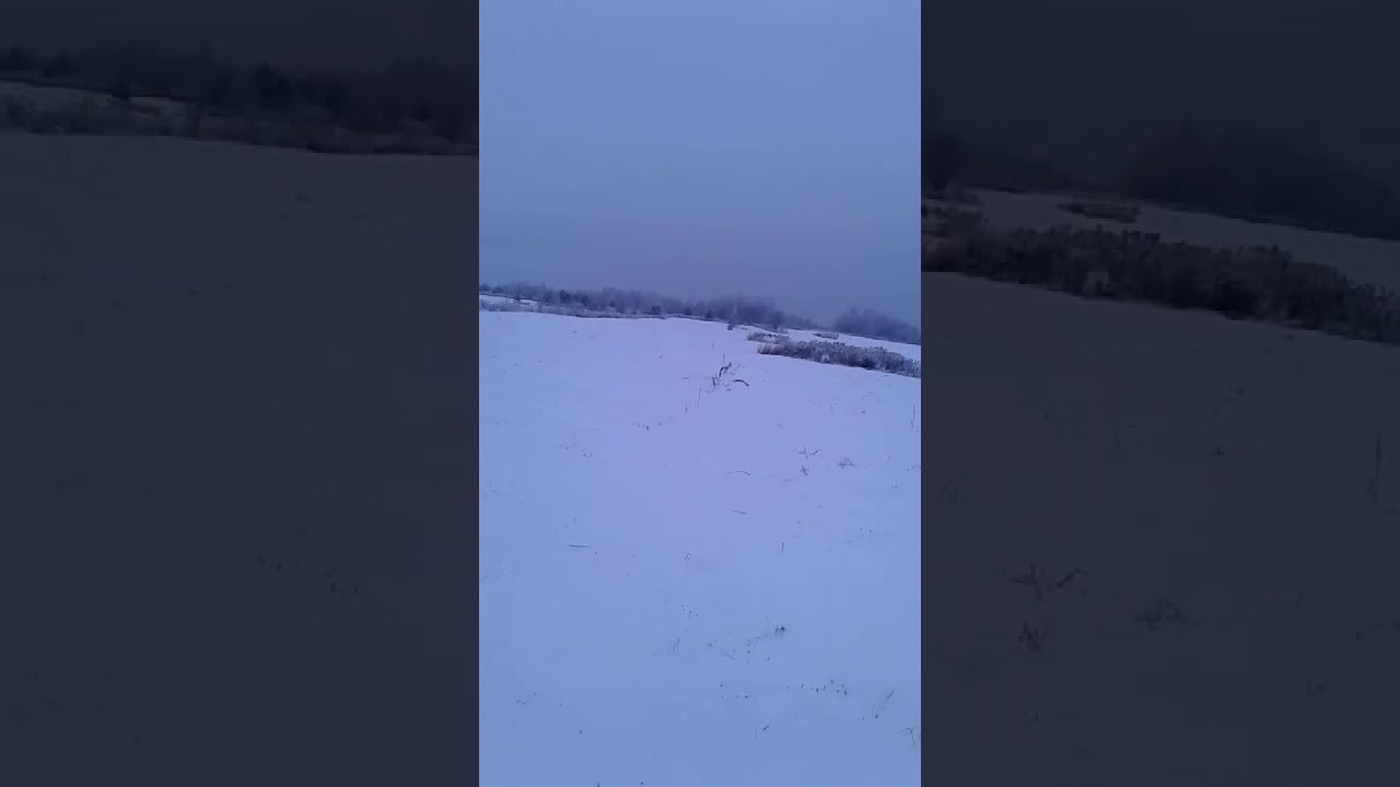 Лифан кр 460