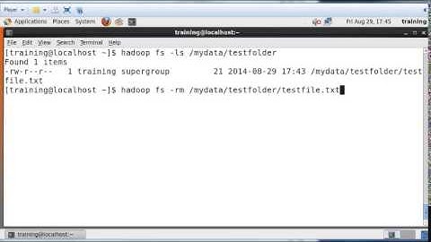 Hadoop HDFS Basics: Deleting Files and Folders from HDFS