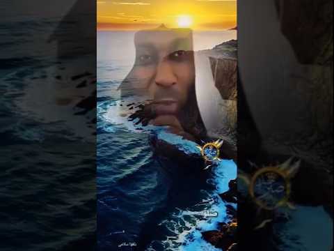 بدر المشاري بلغوا سلامي لمن يا رسول الله