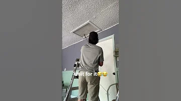 Big RAT Falls Out Of Ceiling On ME Rats Rat Animals Trapping Wildlife Outdoorlife Rodents 
