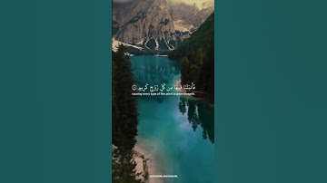 The creation of Allah"Surah Luqman | Yasser Al Dosariسورة لقمان | ياسرالدوسري#قرآن #muslim #اكسبلور