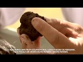 cultivo de trufas en Chile - Agrobiotruf - portugués