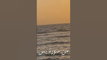 سورة يس