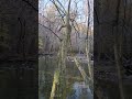 Gatlinburg trail