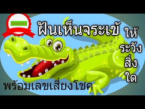 เอ็กซ์เทวดาฝันเห็นจระเข้ มีความหมายว่าอะไรเลขเสี่ยงโชคตัวไหน
