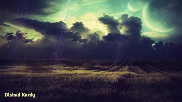 تلاوة هادئه تفيض جمالاً أرح بها بالك ومسمعك