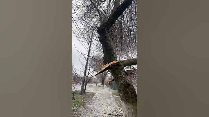 В Ростове шок контент.