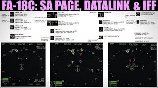 FA-18C Hornet: SA Page, Datalink & IFF Tutorial | DCS WORLD Profile