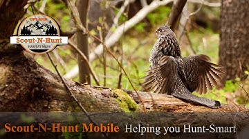 How to load Scout-N-Hunt Maps to Android Phone Video