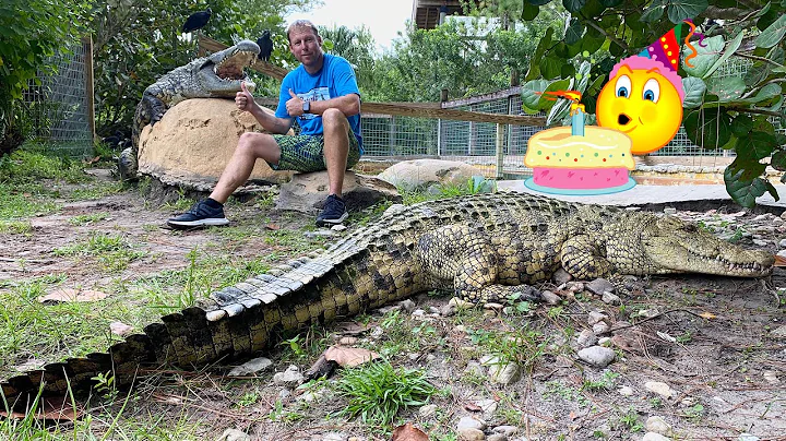 3 Nile Crocodile Birthday Party for Mike Hileman!