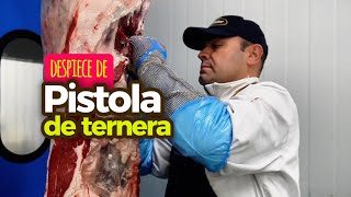 Despiece de la Pistola de ternera añoja, compuesta por el lomo y bola #vacuno #carnesabrasador 