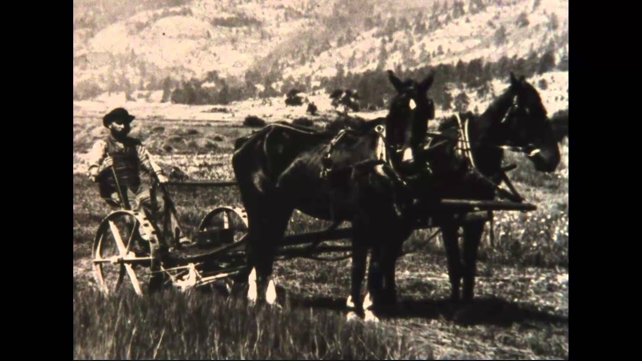 Documentary backdrop image for The Fountain of Life: Rocky Mountain National Park (2015)