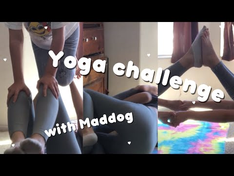 Yoga challenge with mads | Haley WC