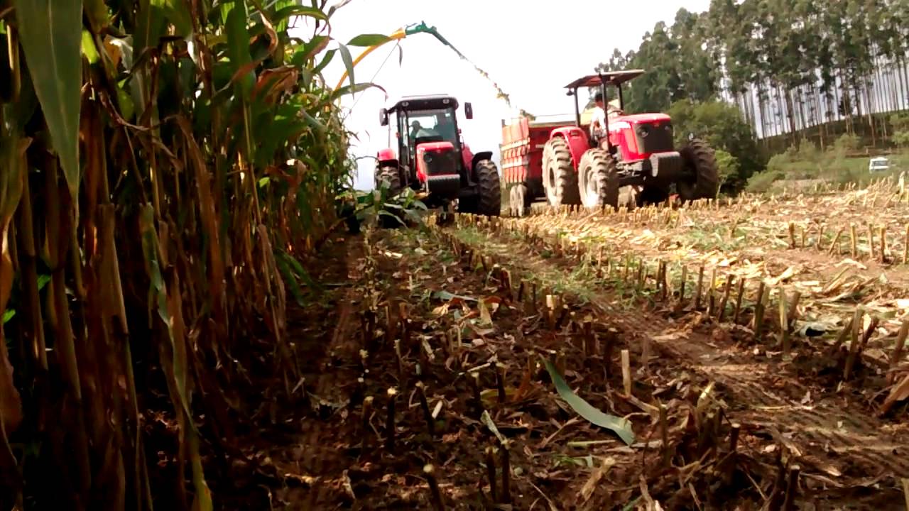 MF 4290 com jf 1600 ...