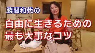自由に生きるための最も大事なコツ。それは人との調和を土台にすること。その範囲で自由に生きるのであれば、周りが応援してくれます。