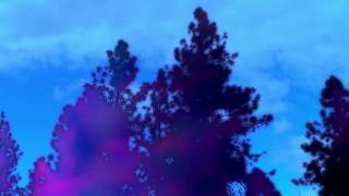 Iva - Solace Official Music Video